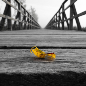 El descubrimiento y la conquista